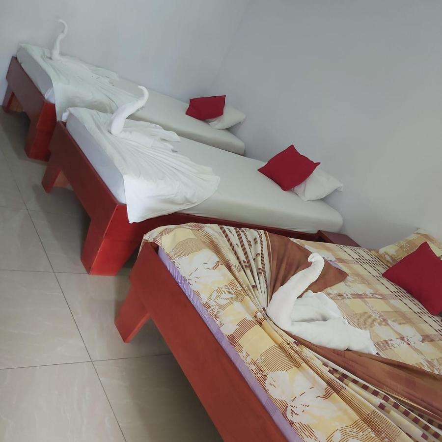 Cabanas Daneysha 托尔图格罗 外观 照片